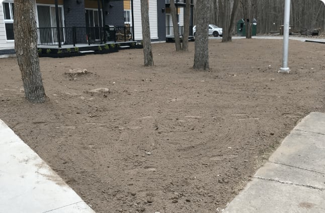 Controle des mauvaise herbes pour un gazon en santé