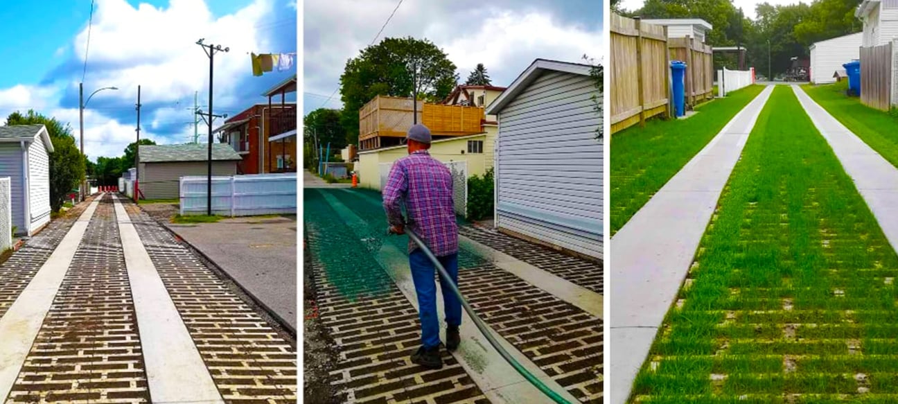 Résultat de l'Hydro-ensemencement sur la Rive Nord et Laurentides