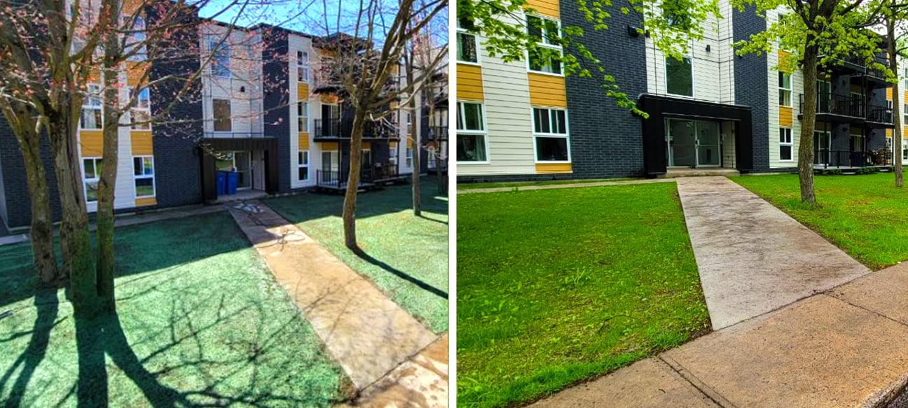 Résultat de l'Hydro-ensemencement sur la Rive Nord et Laurentides