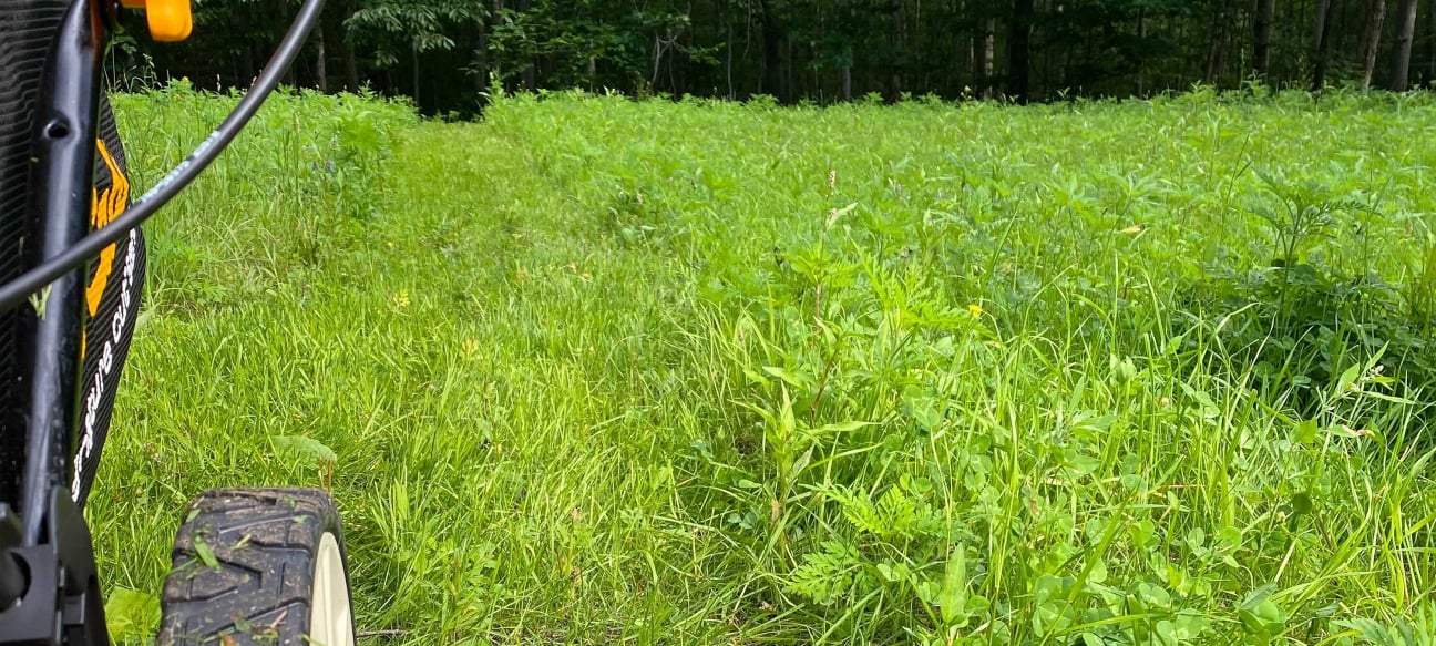 Résultat de l'Hydro-ensemencement sur la Rive Nord et Laurentides