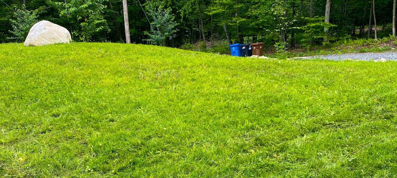 Résultat de l'Hydro-ensemencement sur la Rive Nord et Laurentides